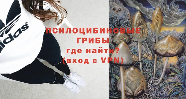 герыч Алексин