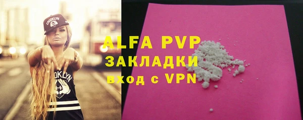 индика Алексеевка
