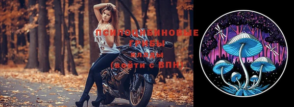 ПСИЛОЦИБИНОВЫЕ ГРИБЫ Алзамай