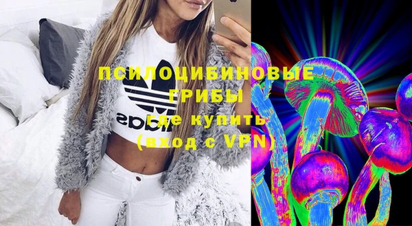 ПСИЛОЦИБИНОВЫЕ ГРИБЫ Алзамай